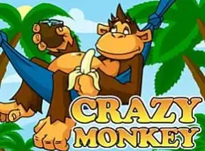 Crazy monkey